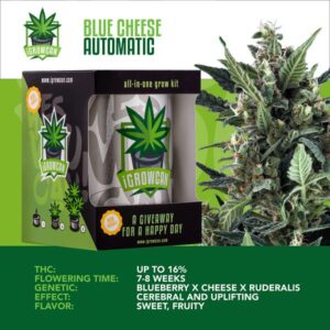 I-Growcan Blue Cheese Auto