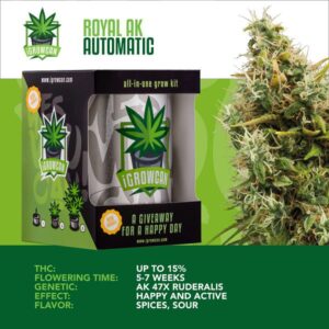 I-Growcan Royal AK Auto