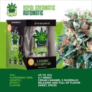I-Growcan Royal Creamatic