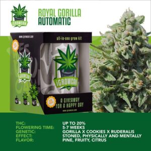 I-Growcan Royal Gorilla Auto