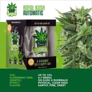 I-Growcan Royal Kush Auto