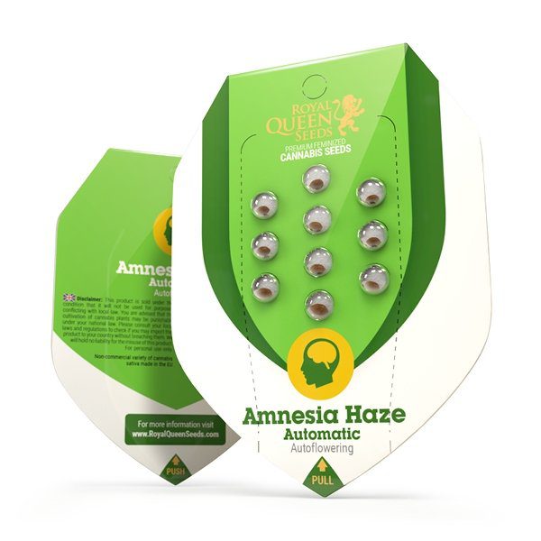 RQS - Amnesia Haze Auto - Afbeelding 2