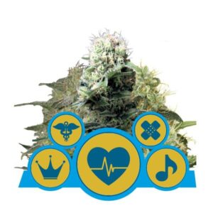 RQS - Medical Mix